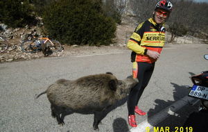 sortie 09 Mars 2019 et Brevet Fédéral 100 kms du Pontet 