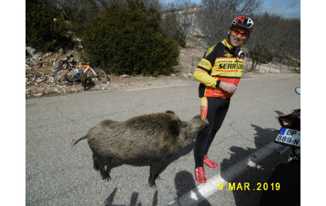 sortie 09 Mars 2019 et Brevet Fédéral 100 kms du Pontet 