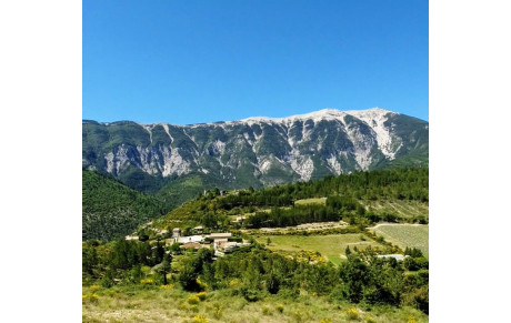 1ERE GROSSE SORTIE DE REPRISE AVEC RESTAURANT , en prime !